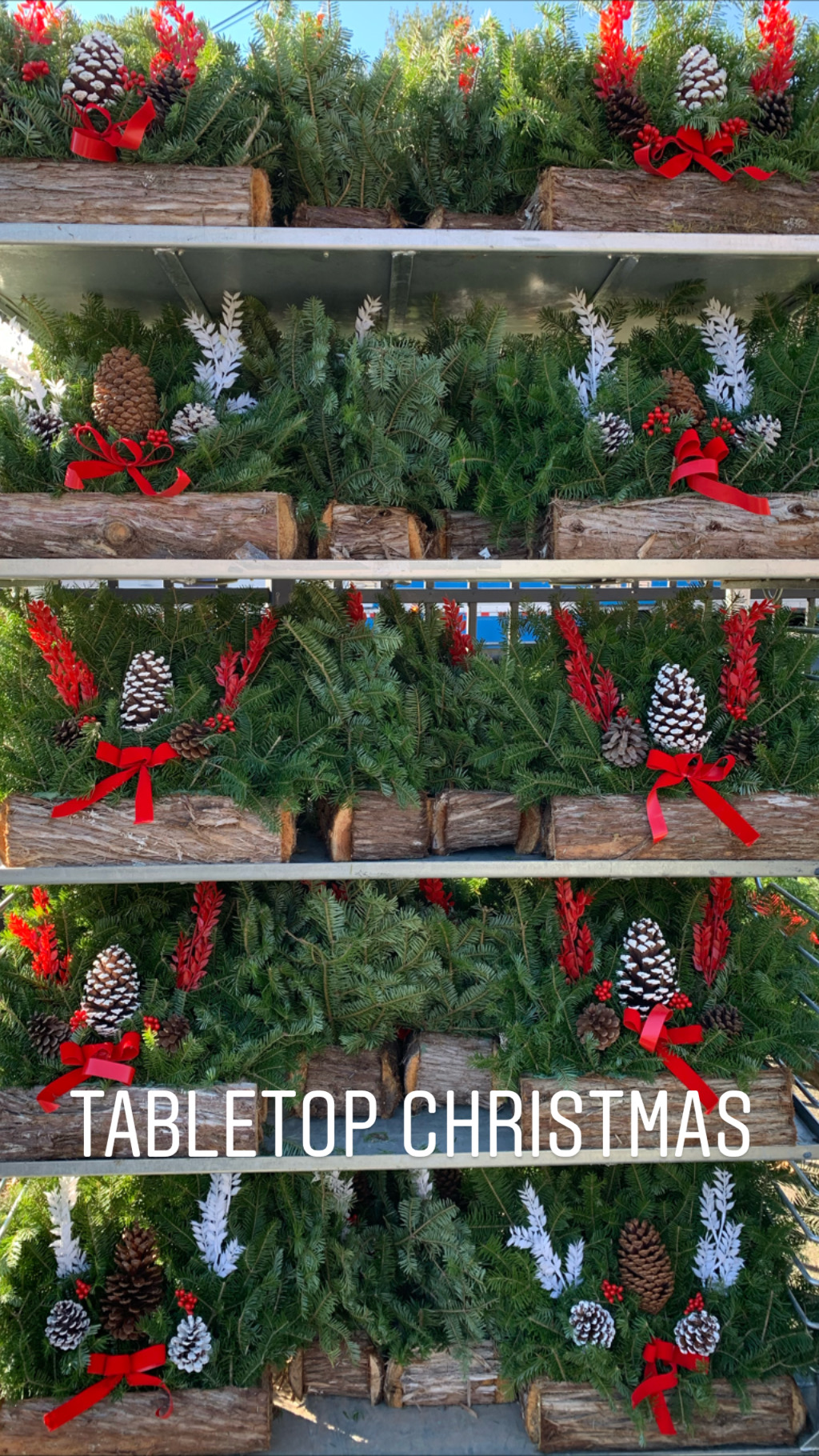 Danbury Ct Flower Delivery Best Flower Site